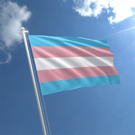 femboy flagge|Category:Transgender flags